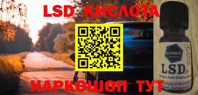 прущие грибы Усть-Илимск