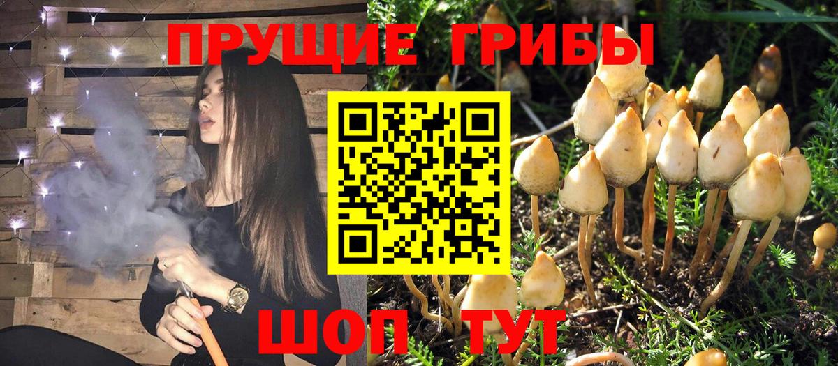 Галлюциногенные грибы ЛСД Алексеевка