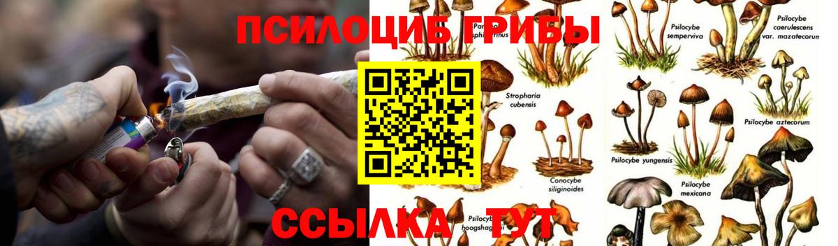 Галлюциногенные грибы Cubensis  Вход с VPN  Алексеевка  Псилоцибиновые грибы прущие грибы 